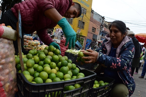 Diario expreso - Precio del limón a la baja en mercados mayoristas