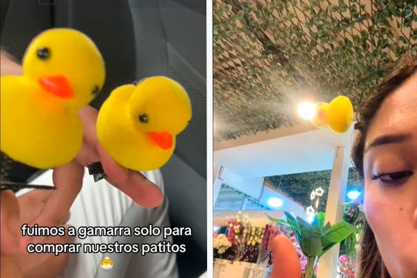 Diario expreso - Fiebre de patos amarillos invade Lima: este es el origen de la curiosa tendencia de TikTok